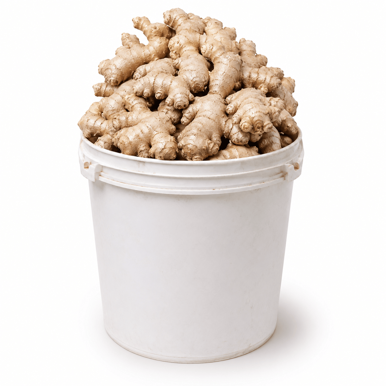 Shields Farms product photo